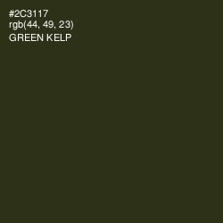 #2C3117 - Green Kelp Color Image